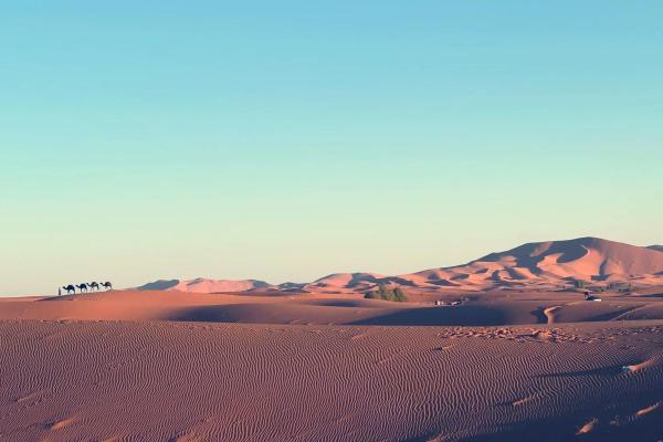 在线测算命运，探索真实自我的神秘之旅