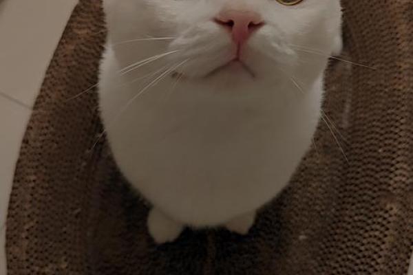 2003年出生的人：机遇与挑战并存的生活旅程