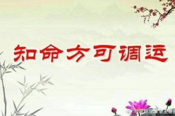 深入解析命理学中的用神概念，为你解开命运之谜