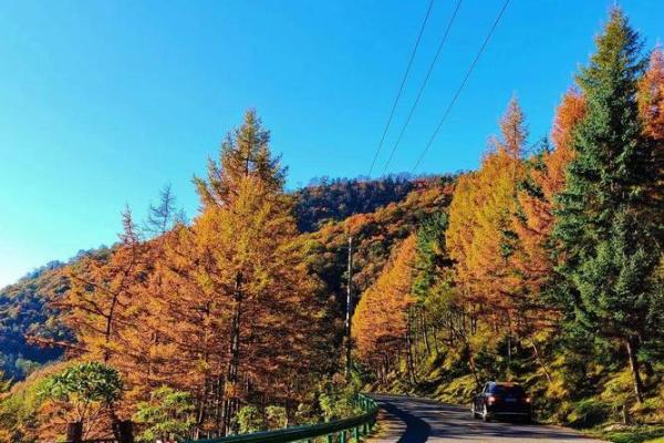 探寻男人涧下水命与财运的奇妙结合之道