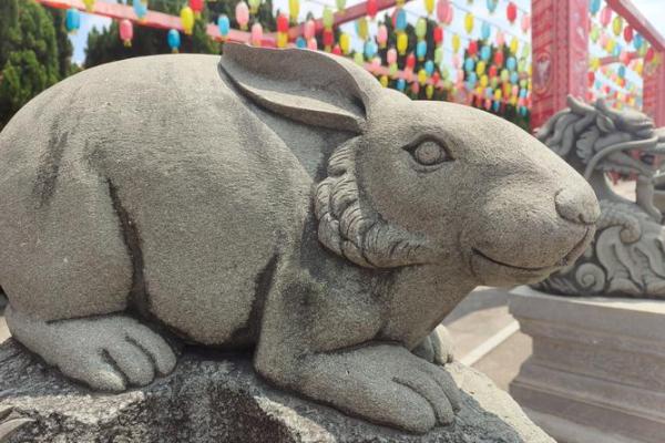 1991年属兔的命理解析与运势展望