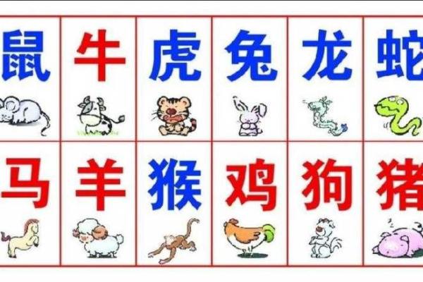 1993猪年出生的命运与性格分析:一切从属相看人生 1993猪年出生的命运与性格分析:一切从属相看人生