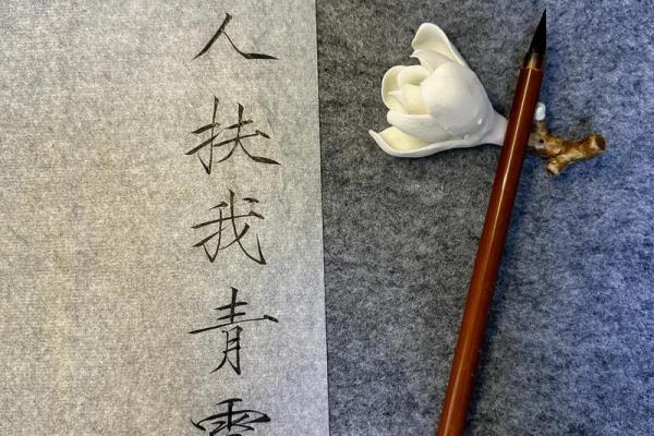 探究命理:什么命与什么命相克,揭示人生的奥秘与平衡 探究命理:什么命与什么命相克,揭示人生的奥秘与平衡