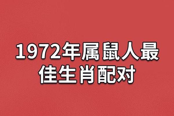 23点出生的鼠:命运与性格的深度解析 23点出生的鼠:命运与性格的深度解析