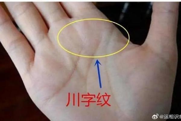 1965年出生的人：命运与性格的深度解析