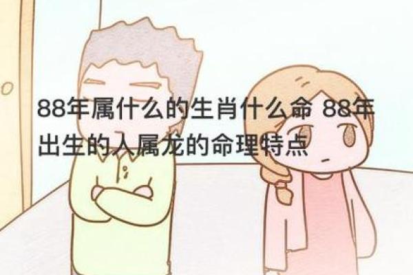 1988年男士命理解析:揭秘属龙人的性格与命运 1988年男士命理解析:揭秘属龙人的性格与命运