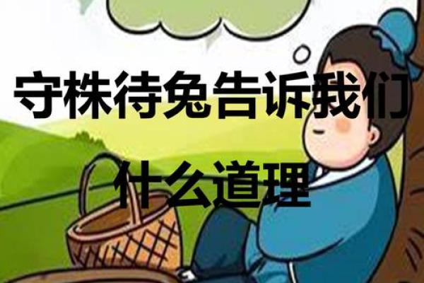 2012年腊月的命运启示：探寻生活中的智慧与机遇