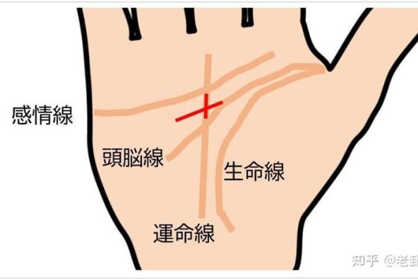 命理探索：仙命男孩女孩的神秘特征与生活影响