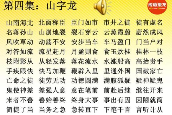 命运之轮：从什么命到什么什么的成语接龙之旅