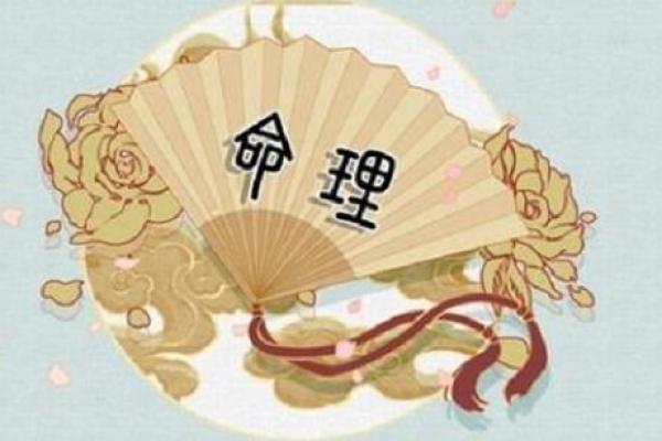 四两六钱的命运：探寻人生的哲学与智慧