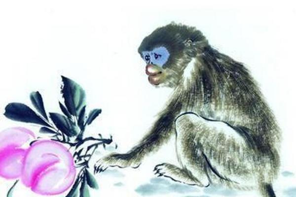 1992年出生的猴子：命运与性格的深度解读