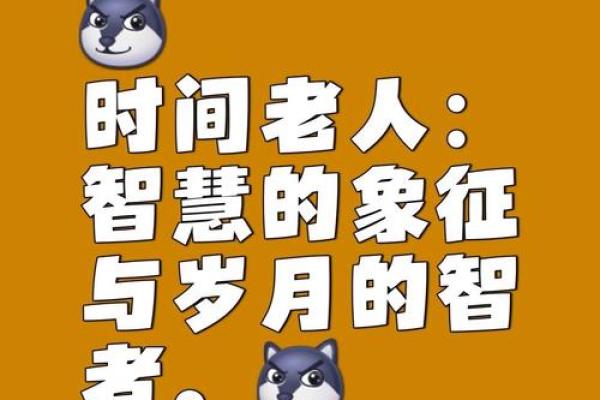 命运之轮：用成语接龙探寻人生智慧与哲理