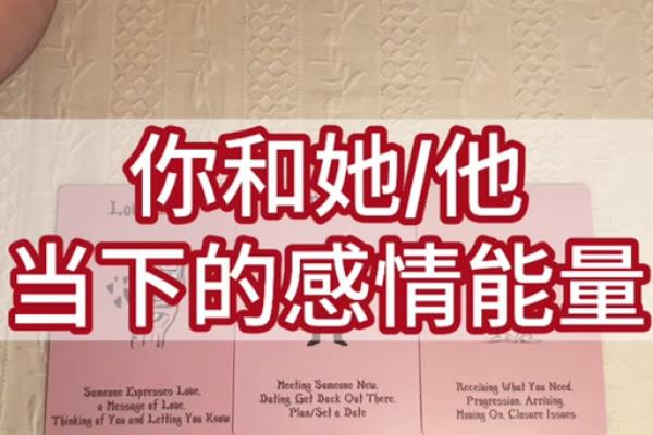 19931004出生者的命理解析：命运与人格的深度探寻