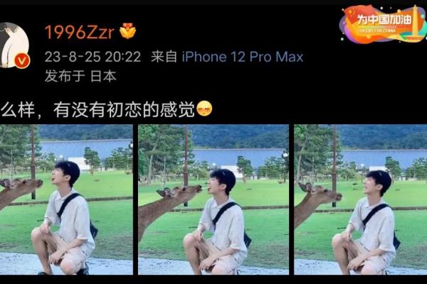 2019年猪年命运解析:如何把握机遇与挑战,实现人生理想 2019年猪年命运解析:如何把握机遇与挑战,实现人生理想