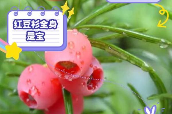 命硬与命好:探寻命运的奥秘与选择之路 命硬与命好:探寻命运的奥秘与选择之路