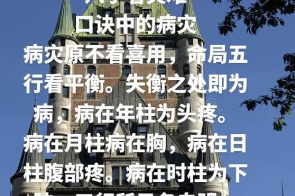 四命五命：解读生命中的命运之舵手