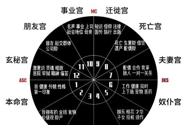 探索人生最大命格，解密你的命运与人生价值观！