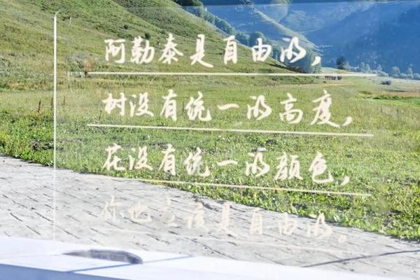92年正月十二出生的人命运解析：走向成功与挑战的双重旅程
