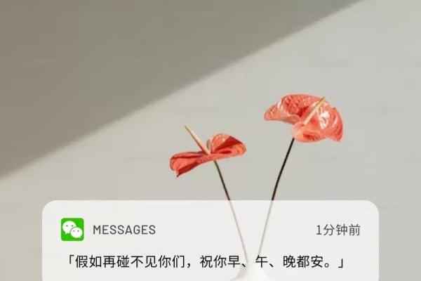 1945年出生的人命运解析:信念与坚持的虚幻旅程 1945年出生的人命运解析:信念与坚持的虚幻旅程