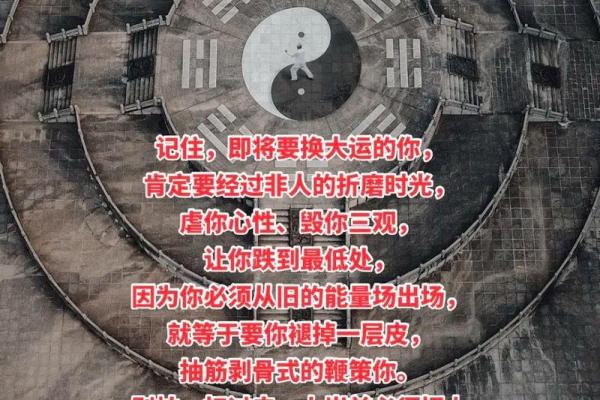 四两五命:命理中的轻盈与智慧的交融 四两五命:命理中的轻盈与智慧的交融