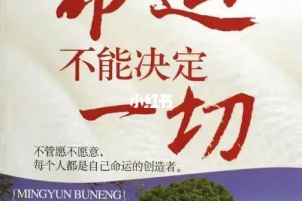 五两九钱女命：解读命运之美与挑战的平衡之道