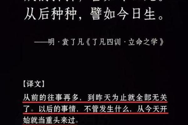 2009年：年命之谜与人生哲理的交融