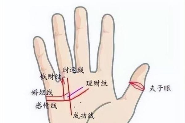 男命四两二钱的命学解析与人生启示 男命四两二钱的命学解析与人生启示