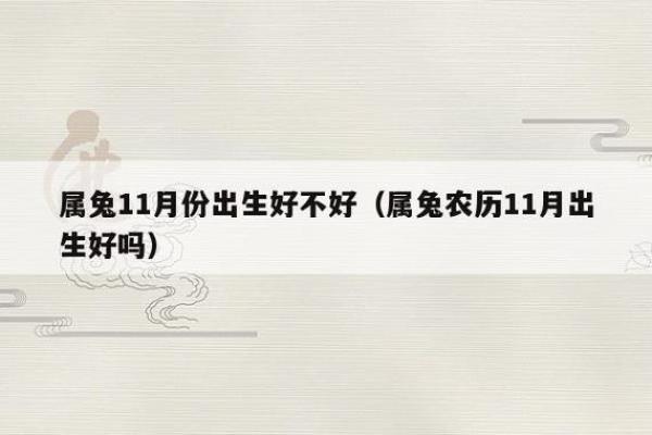 2023：兔年之生辰与命理的深刻影响解析