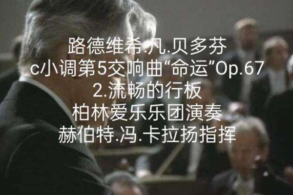 命运的交响曲:多彩人生与成语的魅力 命运的交响曲:多彩人生与成语的魅力