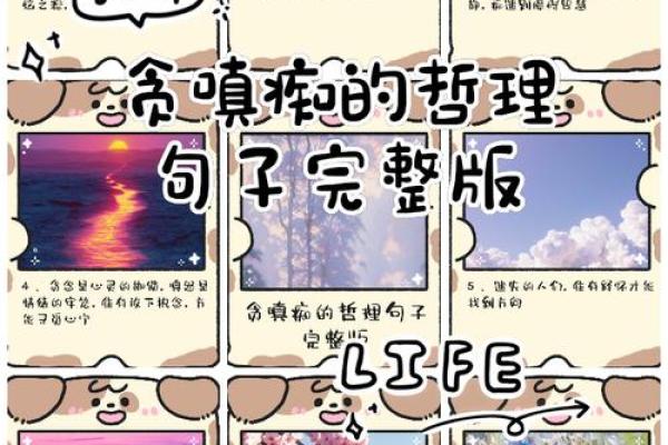 弃命从财,深藏富贵命的哲理与智慧 弃命从财,深藏富贵命的哲理与智慧