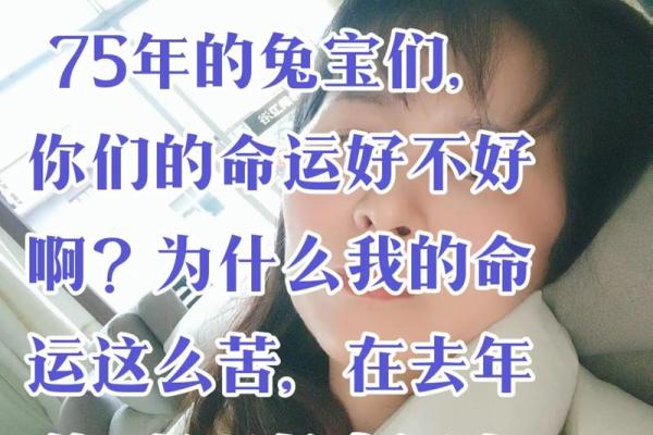 农历2.14的命运探秘：揭开不同命格的神秘面纱
