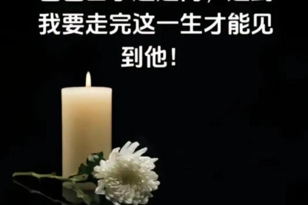 1995年出生的人适合的命运与人生指导