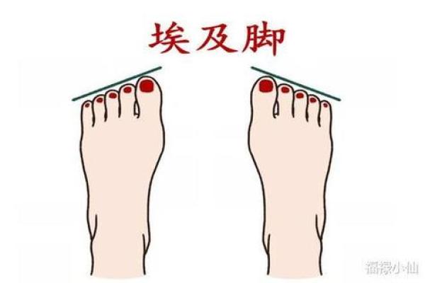 脚趾与命运：探秘身体与命理的神秘联系