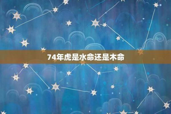 命理缺木水命人的护法：佩戴风水饰品的智慧与选择