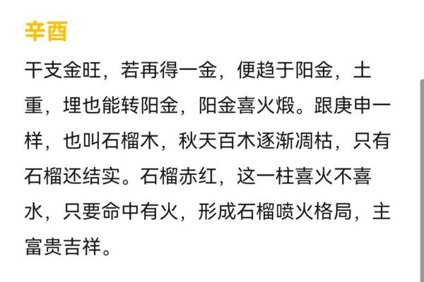 探索命理八字中的乙亥命：一场关于性格与命运的奇妙旅程