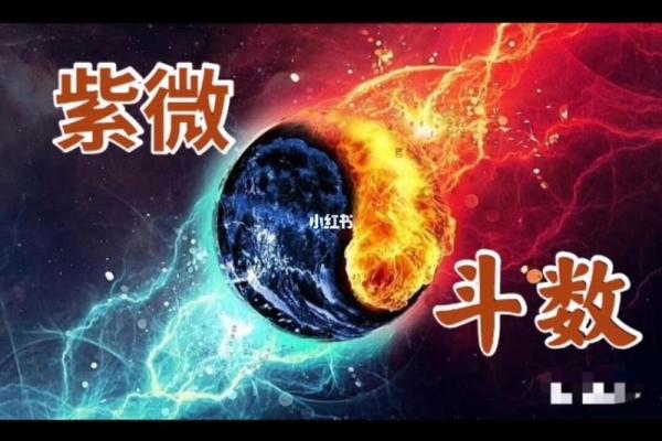 探索1997年5月19日出生者的命理奥秘与人生轨迹