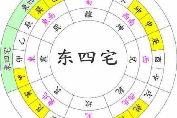东四命与西四命：探索命理与生活的深刻联系