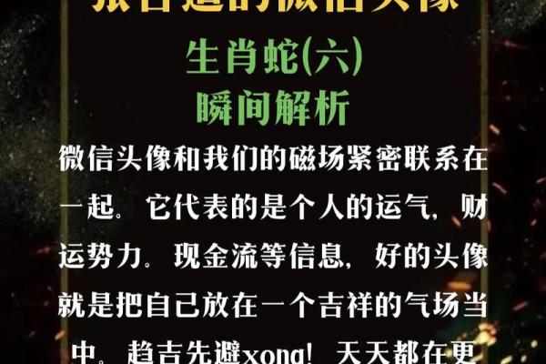 解密蛇命格女人：智慧与魅力的完美结合