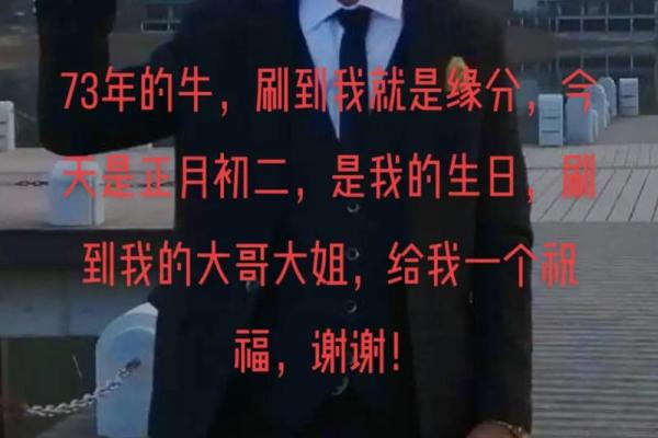 73年女命牛：智慧与坚韧的命运探寻