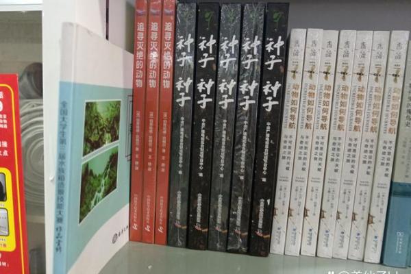 命里无妻之命：解读人生中的孤独与缘分