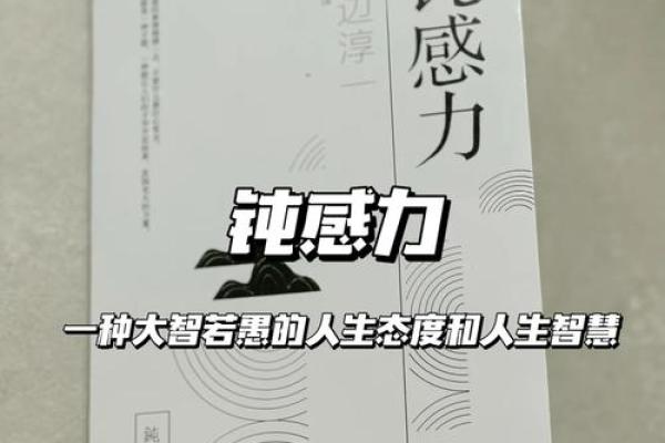 探索20010605出生日期的命理奥秘与人生智慧 探索20010605出生日期的命理奥秘与人生智慧