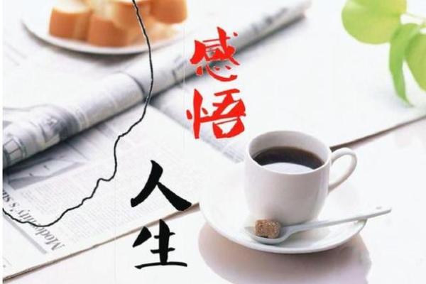 数字的秘密：命格背后的玄机与人生启示