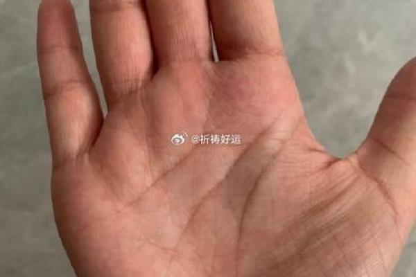 探秘1986924:与众不同的命运密码与生活启示 探秘1986924:与众不同的命运密码与生活启示