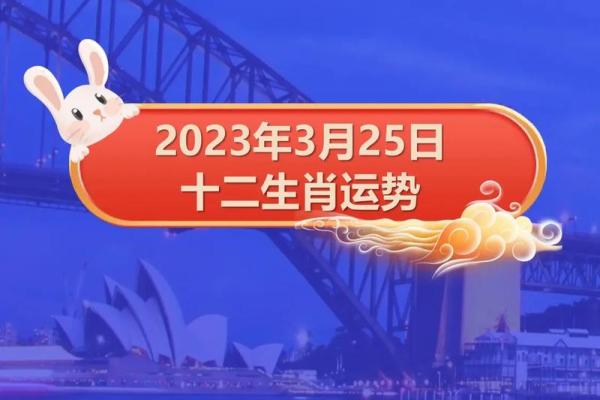 2023年属马人运势分析与人生使命探讨