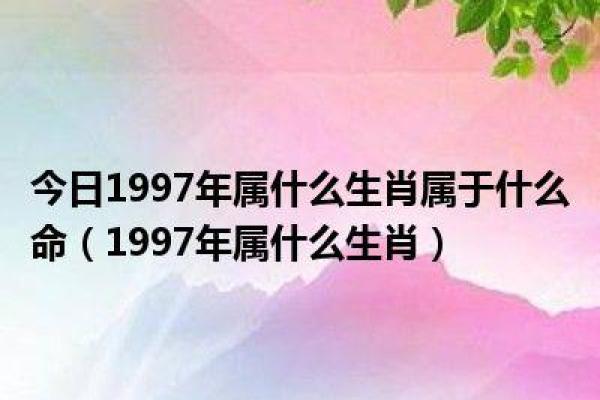 阴历2003年出生的命运解析：属于你的天赋与机遇