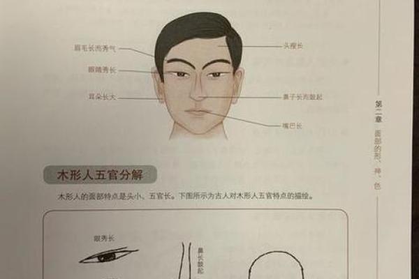 金命与木命之间的差异与和谐缺失分析