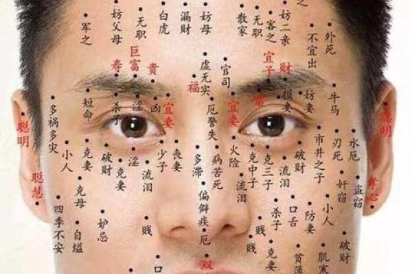 长什么痣,命运的秘密:解析痣相与运势的关系 长什么痣,命运的秘密:解析痣相与运势的关系