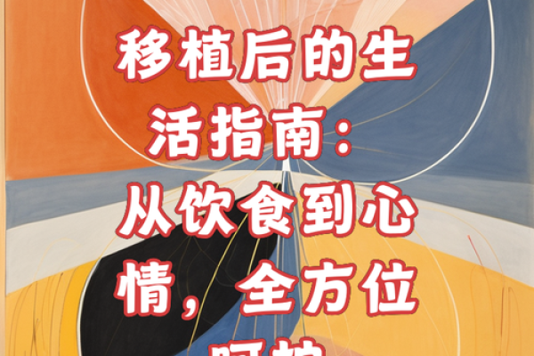 土命人士最佳方位与生活指南