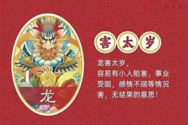 2013年龙年出生的人:龙命的特质与运势解析 2013年龙年出生的人:龙命的特质与运势解析