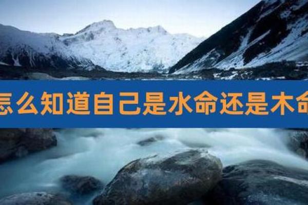 女命阴水命的深刻解析与生活启示